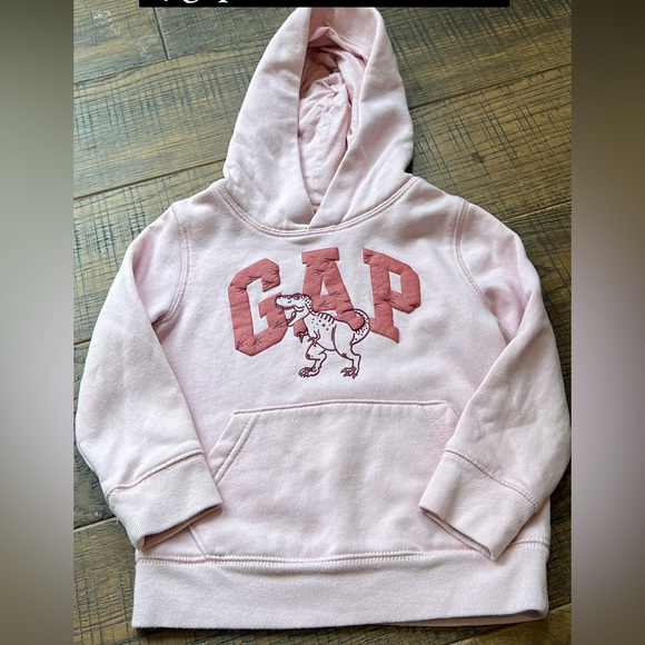 Light pink dinosaur gap logo hoodie with bubble lettering and Dino tracks - Picture 1 of 1